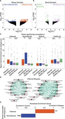 The chromatin and single-cell transcriptional landscapes of CD4 T cells in inflammatory bowel disease link risk loci with a proinflammatory Th17 cell population